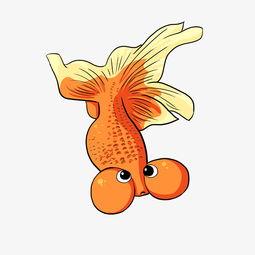 动漫金鱼变成人的视频大全,动漫奇幻变身瞬间大盘点