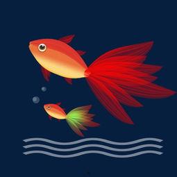 动漫金鱼变成人的视频大全,动漫奇幻变身瞬间大盘点