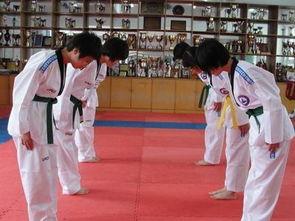 成人跆拳道直播教学视频,跟随专业教练，轻松掌握跆拳道技巧