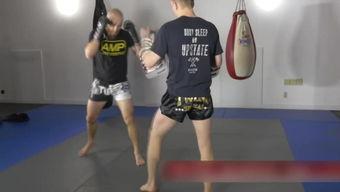 泰拳成人入门视频,跟随专业视频，轻松开启泰拳训练之旅