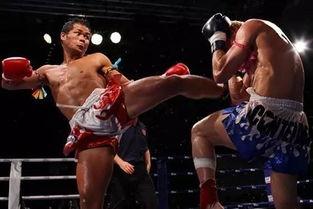 泰拳成人入门视频,跟随专业视频,轻松开启泰拳训练之旅