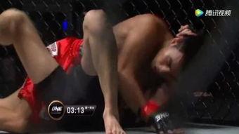 成人散打武术视频全集,实战技巧与招式解析