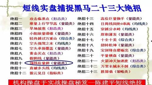 成人汉族拼音教学视频,跟随教学视频轻松掌握汉语拼音